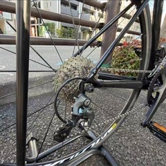 giant tcr slrの画像