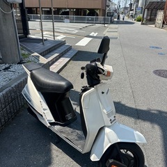 レア　ホンダリーダーaf03の画像