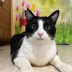 たっくん