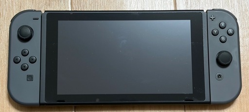 Nintendo Switch グレー 動作確認済み