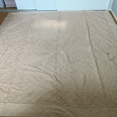 無料　ラグの画像