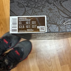 LEBRON バスケットボールシューズ
の画像