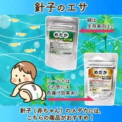 【新品】わさび 針子の餌 Premium 20g【約41%OFF】①の画像