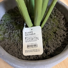 決まりました。フェイクグリーン（造花）の画像