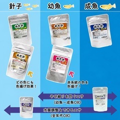 【新品】わさび 針子の餌 Premium 20g【約41%OFF】③の画像