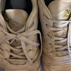 MIZUNO 安全靴　27センチの画像