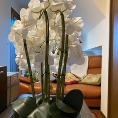 リアル胡蝶蘭造花　白色　7本立て、陶器鉢アートフラワーの画像