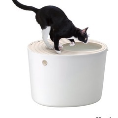 猫トイレの画像