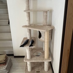 キャットタワーの画像