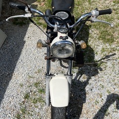 エイプ50の画像