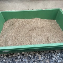 お渡し決定の画像