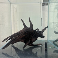 水槽　流木　①②③セットの画像