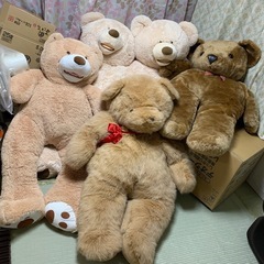 クマさんのぬいぐるみの画像