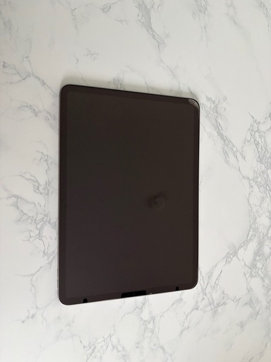 ‼️最終値下げ‼️iPad Pro11インチWi-Fiモデル256GB