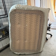 リーンロゼ　トーゴ　2人掛けの画像