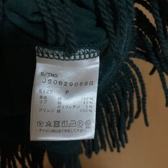 JEANASIS♡フリンジTシャツの画像