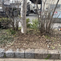 お庭の草刈り 雑草抜き 中低木剪定etc...