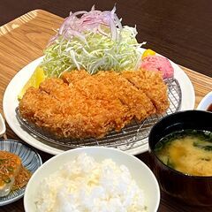平日ランチ とんかつなどのお昼定食やってみませんか？