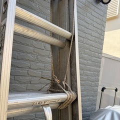 3連ハシゴの画像
