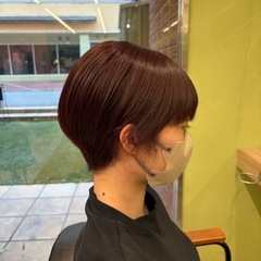 ショートカットモデル様募集