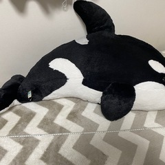 特大シャチぬいぐるみの画像