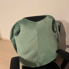 亀の甲羅　着ぐるみ　100サイズの画像