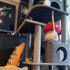 キャットタワーの画像