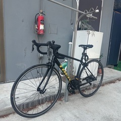 Trek DOMANE AL2 BLK ロードバイクの画像
