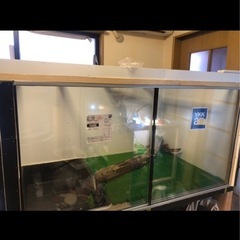 爬虫類ケージ 家具の中古が安い！激安で譲ります・無料であげます