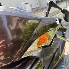 シグナス二型　国内 SE44Jの画像
