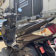シグナス二型　国内 SE44Jの画像