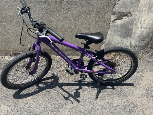 marin donkey jr 20