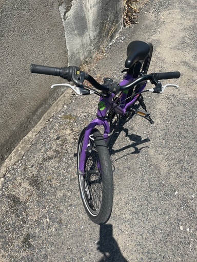 marin donkey jr 20