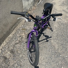 marin donkey jr 20の画像
