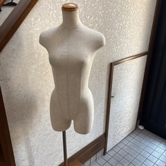 トルソー❶の画像