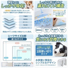 犬猫 レギュラー 300枚入り ペットシー大容量 新品未開封 トイレシート ペットシート 33cm×45cmの画像