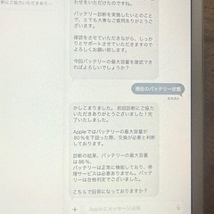 iPad mini5docomoセルラーモデルの画像