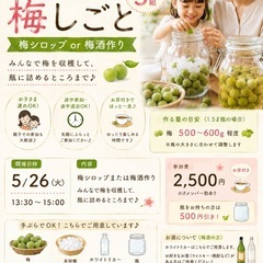 手ぶらで梅仕事！梅酒or梅シロップ作り2,500円（瓶持参…