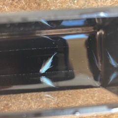幹之だるま　メダカ　稚魚1匹200円の画像