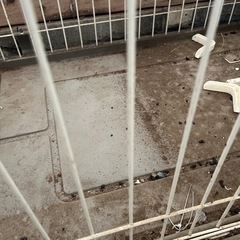 犬小屋　ケージの画像