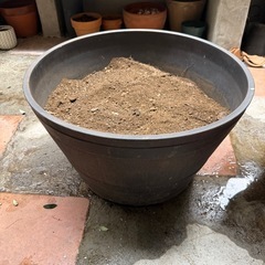 植木鉢の画像