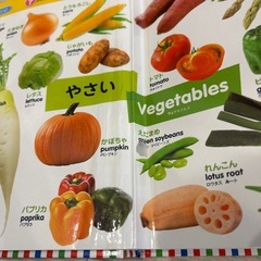 はじめてずかん1000の画像