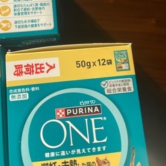  【激安84袋】猫ウェットフード 7箱の画像