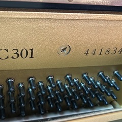 ヤマハMC301の画像