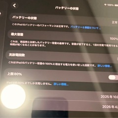 iPad Pro M5 13インチ 256GB Wi-Fi+Cellularの画像