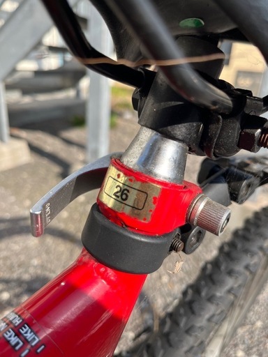 Raychell 折りたたみ自転車