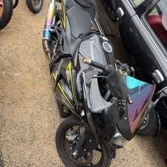 NINJA250R 実働 書類あり モリワキマフラー 社外スクリーン 現状販売の画像