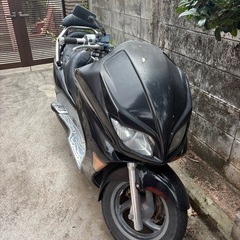フォルツァの画像