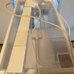 GEX30センチスリム水槽とLEDライト、メダカセットの画像