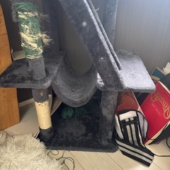 キャットタワーの画像